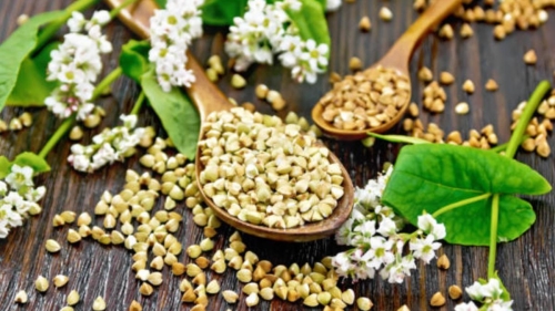 Чем полезна зеленая гречка и что еще о ней нужно знать