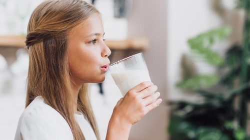 Стерилизованное, парное и пастеризованное молоко: в чем между ними разница