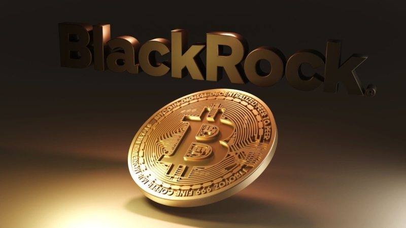 Биткоин-ETF от BlackRock зафиксировал второй по величине отток за день