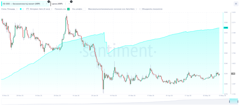 Количество крупных XRP-кошельков достигло исторического максимума