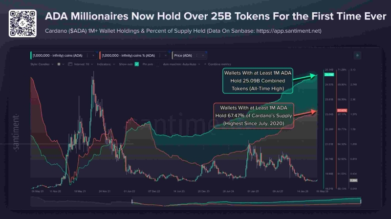 Крупные инвесторы в Cardano накопили рекордные 25 млрд ADA