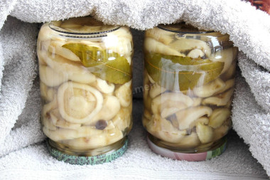 Маринованные грузди в банках горячим способом